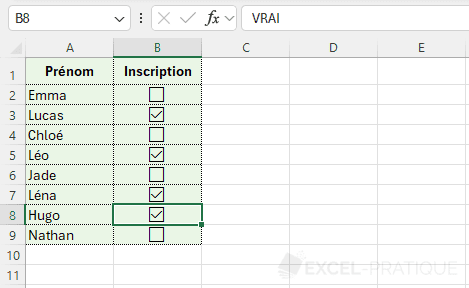 excel cases a cocher case